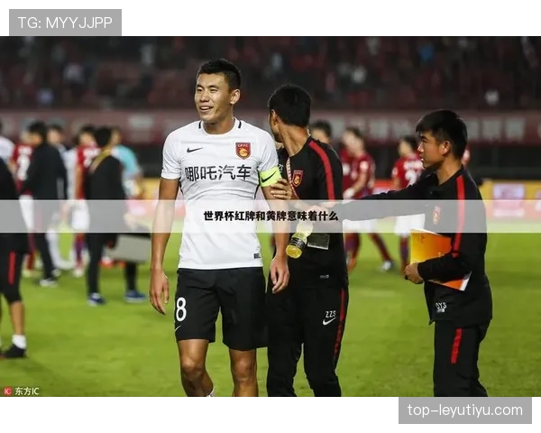 禁赛规则:黄牌累积与红牌直接停赛的判定与执行期限 禁赛规则:黄牌累积与红牌直接停赛的判定与执行期限