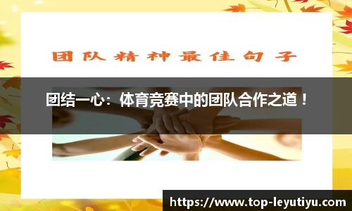 乐鱼体育官方网站