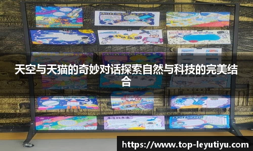天空与天猫的奇妙对话探索自然与科技的完美结合