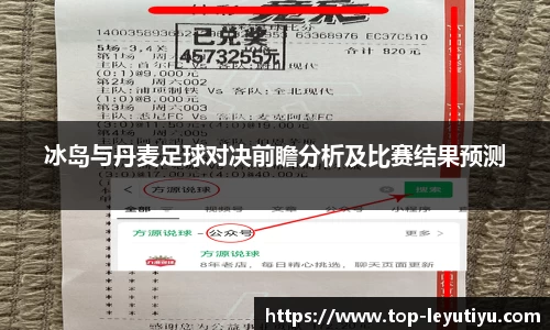 冰岛与丹麦足球对决前瞻分析及比赛结果预测